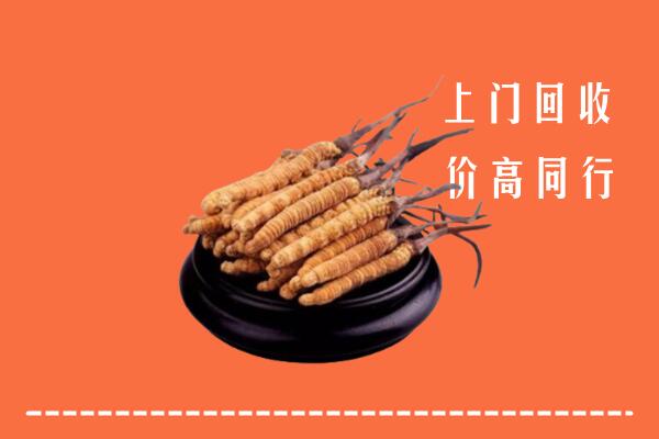 桑日县冬虫夏草回收多少钱每克