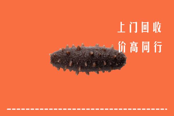 高价求购：桑日县回收海参